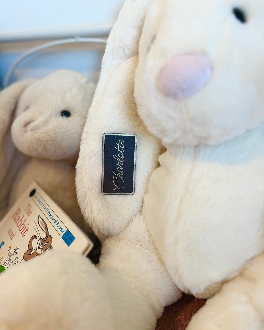 Customized Plush Easter Bunnies