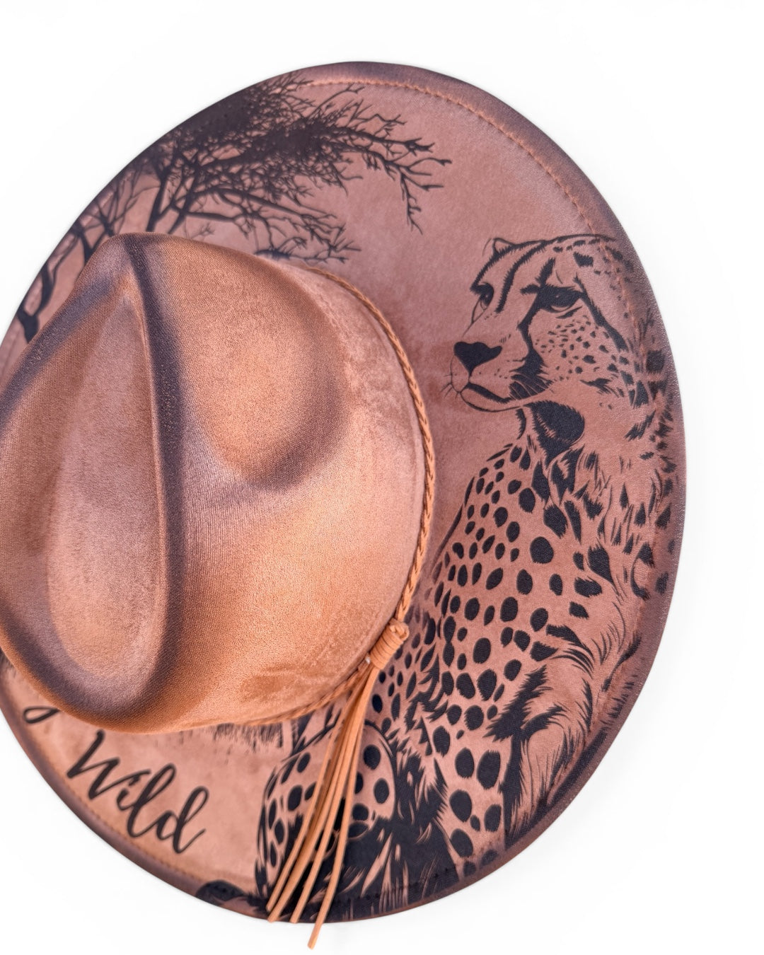 Cheetah